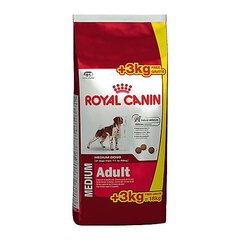 Royal Canin для взрослых собак средних пород, 15 кг + 3 кг цена и информация | Сухой корм для собак | hansapost.ee