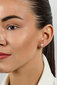 Hõbedased kõrvarõngad pärlitega naistele Brilio Silver EA620W sBS2829 цена и информация | Kõrvarõngad | hansapost.ee