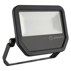 LED-välisprožektor Ledvance, 50W, 4000K цена и информация | Фонарики, прожекторы | hansapost.ee