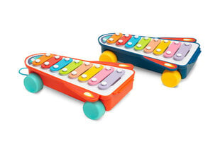 Hariv mänguasi vikerkaare ksülofon Toyz цена и информация | Игрушки для малышей | hansapost.ee