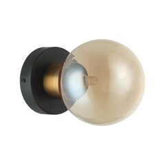 Настенный светильник  Bletter  ВтL-5225-1-BRO-AMB цена и информация | Настенные светильники | hansapost.ee