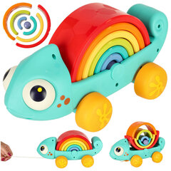 Montessori pusle Kameeleon price and information | Educational children's toys | hansapost.ee