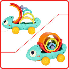 Монтессори-пазл, радужный хамелеон цена и информация | Развивающие игрушки для детей | hansapost.ee