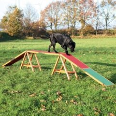 Treeningsild koertele Trixie Dog Activity Agility hind ja info | Koerte dresseerimiseks | hansapost.ee