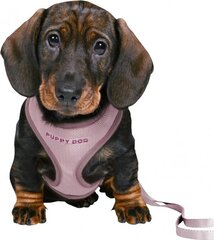 Шлейки с поводком для щенков Trixie Junior, 26-34 см/10 мм, фиолетовые цена и информация | Ошейники, подтяжки для собак | hansapost.ee