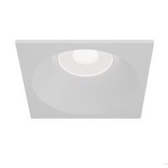 Maytoni Tehniline kohtvalgusti Zoom DL033-2-01W Valge price and information | Ceiling lamps | hansapost.ee