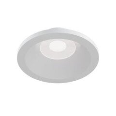 Технический светильник Maytoni Zoom DL032-2-01W, белый цена и информация | Потолочные светильники | hansapost.ee