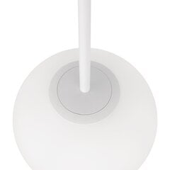 Подвесной светильник Maytoni Modern, базовая форма MOD321PL-01W1, матовый белый цена и информация | Потолочные светильники | hansapost.ee