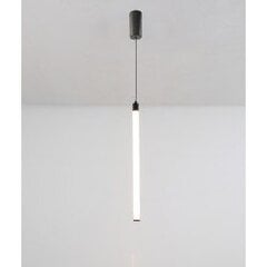 Технический подвесной светильник Maytoni Ray P022PL-L10B, черный цена и информация | Потолочные светильники | hansapost.ee