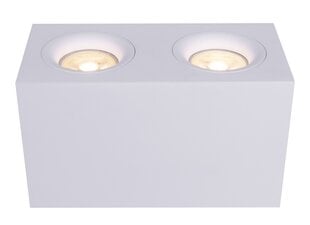 Maytoni Технический потолочный светильник Slim C013CL-02W белый цена и информация | Потолочные светильники | hansapost.ee