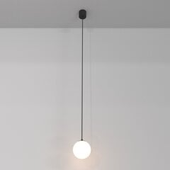 Maytoni Технический подвесной светильник Luna P039PL-5W4K-10-B черно-белый цена и информация | Потолочный светильник, 38 x 38 x 24 см | hansapost.ee