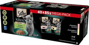 Sheba Kitten noortele kassipoegadele koos lõhe ja kanaga, 40x85 g hind ja info | Kassikonservid | hansapost.ee