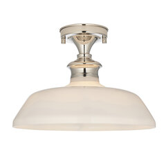 Endon потолочная лампа Barford 96183 цена и информация | Потолочные светильники | hansapost.ee