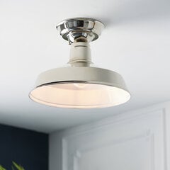 Endon потолочная лампа Darton 96181 цена и информация | Endon Освещение | hansapost.ee