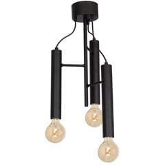 Luminex подвесной светильник Bissa цена и информация | Потолочный светильник, 38 x 38 x 24 см | hansapost.ee