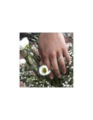 Beneto Hõbesõrmus tsirkoonidega AGG167 hind ja info | Sõrmused | hansapost.ee