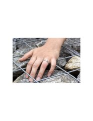 Beneto Серебряное кольцо с цирконами AGG330 цена и информация | Кольцо | hansapost.ee