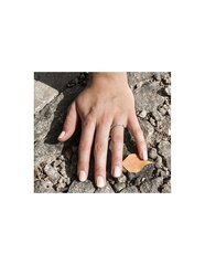 Beneto Hõbesõrmus kristallidega AGG184 hind ja info | Sõrmused | hansapost.ee