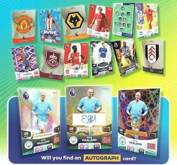 Premiere League 2024 Megaseti stardialbum + Panini kaardid hind ja info | Hobikaardid | hansapost.ee