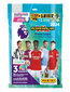 Premiere League 2024 Megaseti stardialbum + Panini kaardid hind ja info | Hobikaardid | hansapost.ee