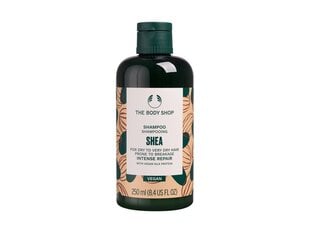 Shampoo The Body Shop Shea, 250 ml price and information | Shampoos | hansapost.ee