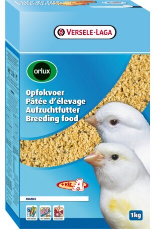 Valgetele kanaarilindudele Versele-Laga Breedingfood Bianco, 1 kg цена и информация | Toit lindudele | hansapost.ee