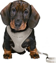 Шлейки с поводком для щенков Trixie Junior, 26-34 см/10 мм, серые цена и информация | Ошейники, подтяжки для собак | hansapost.ee