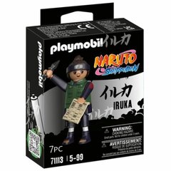 Joonis Playmobil Iruka hind ja info | Mänguasjad poistele | hansapost.ee