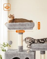 Когтеточка для кошек PCT190W01, 206 см, серый цвет цена и информация | Pole täpsustatud Товары для животных | hansapost.ee
