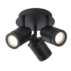 Searchlight потолочный светильник Samson 6603BK цена и информация | Потолочные светильники | hansapost.ee