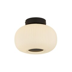 Searchlight потолочный светильник Lumina 10271-1BK цена и информация | Потолочные светильники | hansapost.ee