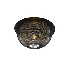 Searchlight потолочный светильник Honeycomb  6840BGO цена и информация | Потолочные светильники | hansapost.ee