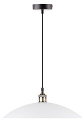 Candellux подвесной светильник Dexter цена и информация | Потолочный светильник, 38 x 38 x 24 см | hansapost.ee