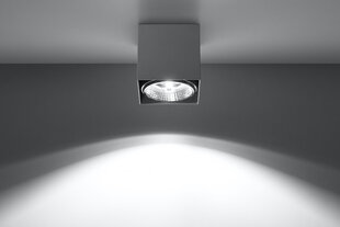 Sollux потолочный светильник Blake Grey цена и информация | Потолочный светильник, 38 x 38 x 24 см | hansapost.ee