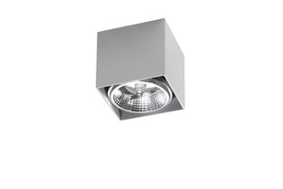 Sollux потолочный светильник Blake Grey цена и информация | Потолочный светильник, 38 x 38 x 24 см | hansapost.ee