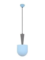 Ledea подвесной светильник Pendant Visby цена и информация | Потолочный светильник, 38 x 38 x 24 см | hansapost.ee