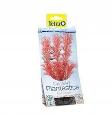 Akvaariumi kunsttaim Tetra DecoArt Plant L Foxtail Red, 30 cm цена и информация | Аквариумные растения и украшения | hansapost.ee