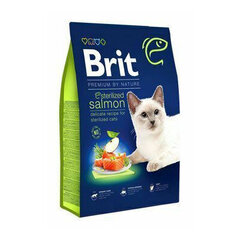 Brit Dry Premium lõhega steriliseeritud kassidele, 800 g hind ja info | Brit Care Kassid | hansapost.ee