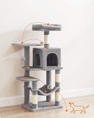Kraapimispuu-maja kassidele PCT261W01, 112 cm, hall hind ja info | Kraapimispuud kassidele | hansapost.ee