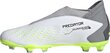 Jalgpallijalatsid lastele Adidas Predator Accuracy.3 LL FG Jr, suurus 30, hall/roheline цена и информация | Putsad ja muud jalgpallijalatsid | hansapost.ee