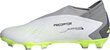 Jalgpallijalatsid Adidas Predator Accuracy.3 LL FG, suurus 42, hall/roheline hind ja info | Putsad ja muud jalgpallijalatsid | hansapost.ee