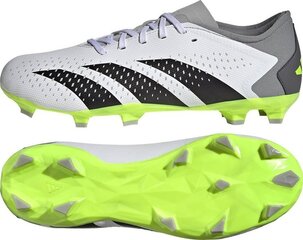 Бутсы футбольные Adidas Predator Accuracy.3 L FG, размер 42 2/3, серого/зеленого цвета цена и информация | Футбольные бутсы | hansapost.ee