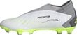 Jalgpallijalatsid Adidas Predator Accuracy.3 LL FG, suurus 46 2/3, hall/roheline hind ja info | Putsad ja muud jalgpallijalatsid | hansapost.ee