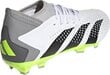 Jalgpallijalatsid Adidas Predator Accuracy.3 FG, suurus 44 2/3, hall/roheline цена и информация | Putsad ja muud jalgpallijalatsid | hansapost.ee