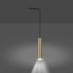 Emibig подвесной светильник Goldi 1 Black/Gold цена и информация | Потолочный светильник, 38 x 38 x 24 см | hansapost.ee