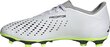 Adidas jalgpallijalatsid Predator Accuracy.4 FxG, suurus 43 1/3, valge/roheline цена и информация | Putsad ja muud jalgpallijalatsid | hansapost.ee