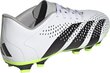 Adidas jalgpallijalatsid Predator Accuracy.4 FxG, suurus 43 1/3, valge/roheline цена и информация | Putsad ja muud jalgpallijalatsid | hansapost.ee