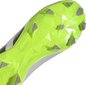 Adidas jalgpallijalatsid Predator Accuracy.3 L FG, suurus 44, hall/roheline цена и информация | Putsad ja muud jalgpallijalatsid | hansapost.ee