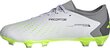 Adidas jalgpallijalatsid Predator Accuracy.3 L FG, suurus 44, hall/roheline цена и информация | Putsad ja muud jalgpallijalatsid | hansapost.ee