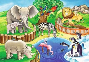 Ravensburgeri mõistatus 2x12 loomad loomaaias 07602 hind ja info | Pusled lastele ja täiskasvanutele | hansapost.ee